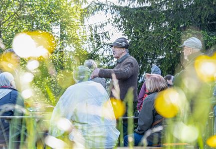 Bergfrühlingstage
