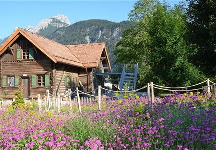 Holzerhütte im Frühling
