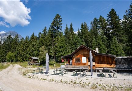 Muggenmoos Alm