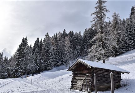 27.11.2021 - Stadl in Moesern bei Neuschnee - Wanderweg von Seefeld nach Moesern.jpg