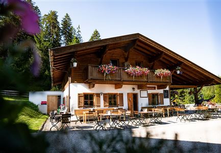 Bodenalm im Sommer (4).jpg