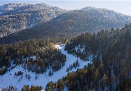 Muehlberg in Scharnitz